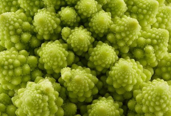 Romanesco Broccoli Non Gmo Vegetable Heirloom 1000 Seeds for Garden Planting