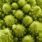 Romanesco Broccoli Non Gmo Vegetable Heirloom 1000 Seeds for Garden Planting