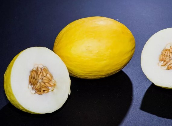 Canary Melon Seeds Cucumis melo Non Gmo Vegetable Heirloom 100 Seeds for Garden Planting