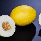 Canary Melon Seeds Cucumis melo Non Gmo Vegetable Heirloom 100 Seeds for Garden Planting
