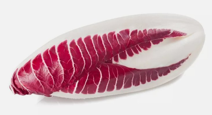 Endive Red Treviso Non Gmo Vegetable Heirloom 1000 Seeds for Garden Planting