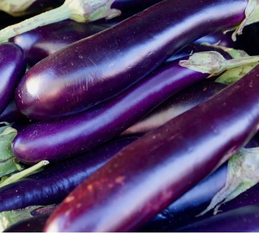 Long Purple Eggplant  Non Gmo Vegetable Heirloom 100 Seeds for Garden Planting