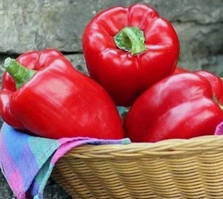Big Red Sweet Bell Pepper Non Gmo Vegetable Heirloom 100 Seeds for Garden Planting