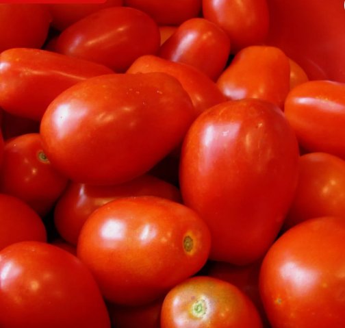 Roma Italian Tomato Non Gmo Vegetable Heirloom 50 Seeds for Garden Planting