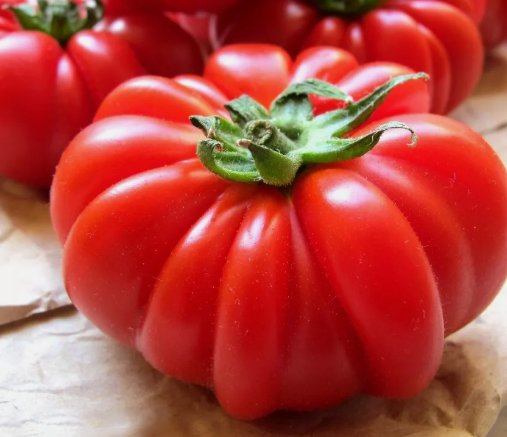 Costoluto Genovese Tomato Non Gmo Vegetable Heirloom 30 Seeds for Garden Planting