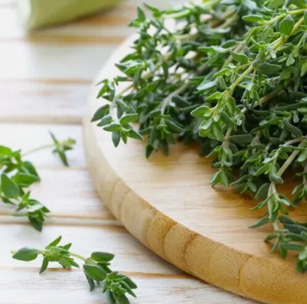 Thyme Non Gmo Vegetable Heirloom 300 Seeds for Garden Planting