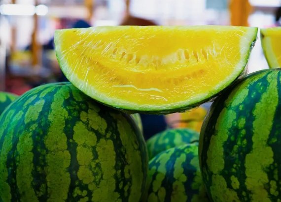 Watermelon Yellow Rare Vegetable Heirloom 25 Seeds for Garden Planting