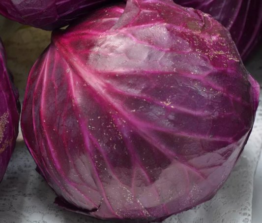 Red Acre Cabbage Vegetable Heirloom 250 Seeds for Garden Planting