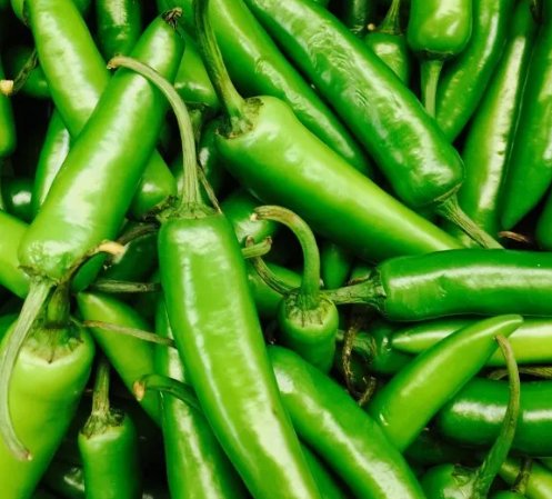 Serrano Pepper Non Gmo Vegetable Heirloom 30 Seeds for Garden Planting