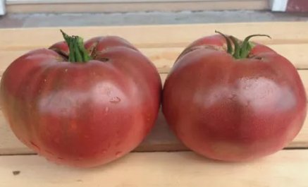 Cherokee Purple Tomato&Acirc;&nbsp;Non Gmo Vegetable Heirloom 30 Seeds for Garden Planting