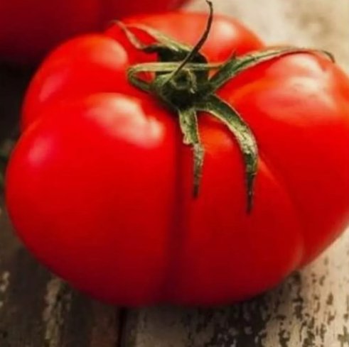 Beefsteak Tomato Non Gmo Vegetable Heirloom 50 Seeds for Garden Planting