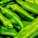 Anaheim Chile Pepper Non Gmo Vegetable Heirloom 50 Seeds for Garden Planting