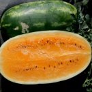 Tendersweet Orange Watermelon Non Gmo Vegetable Heirloom 10 Seeds for Garden Planting