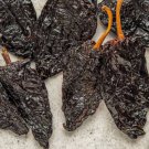 Ancho Poblano Pepper Non Gmo Vegetable Heirloom 25 Seeds for Garden Planting