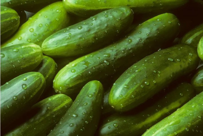 Garden Sweet Cucumber  Non Gmo Vegetable Heirloom 30 Seeds for Garden Planting