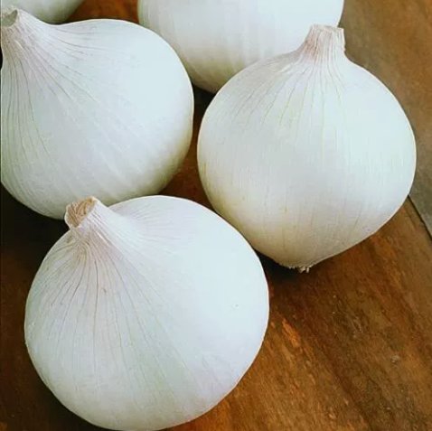 White Sweet Spanish Onion Non Gmo Vegetable Heirloom 200 Seeds for Garden Planting