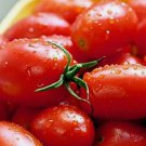 Crovarese Italian Grape Tomato Non Gmo Vegetable Heirloom 30 Seeds for Garden Planting