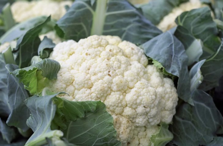Cauliflower Snowball Y Improved Non Gmo Vegetable Heirloom 200 Seeds for Garden Planting