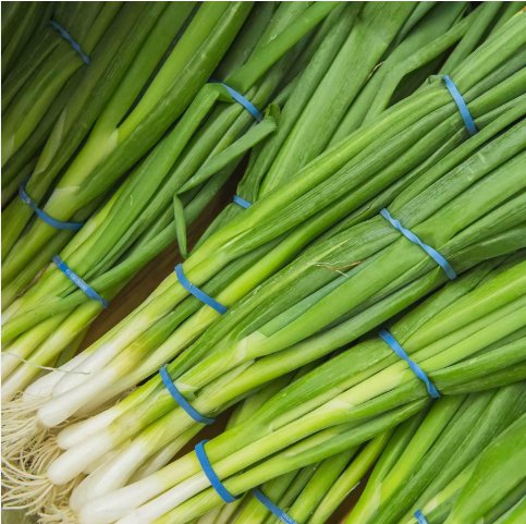 Onion Evergreen White Bunching Collection Non Gmo Vegetable Heirloom 250 Seeds for Garden Planting