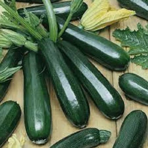 Premium Black Beauty Zucchini Non Gmo Vegetable Heirloom 25 Seeds for Garden Planting