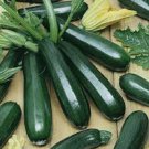 Premium Black Beauty Zucchini Non Gmo Vegetable Heirloom 25 Seeds for Garden Planting