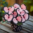 Moonlight Butterfly Begonia Flower Vegetable Heirloom 40 Seeds for Garden Planting