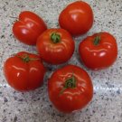 Early Girl Tomato Vegetable Heirloom 20 Seeds for Garden Planting