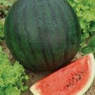 Sugar Baby Watermelon Vegetable Heirloom 25 Seeds for Garden Planting