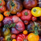 Rainbow Beefsteak Tomato Vegetable Heirloom 50 Seeds for Garden Planting
