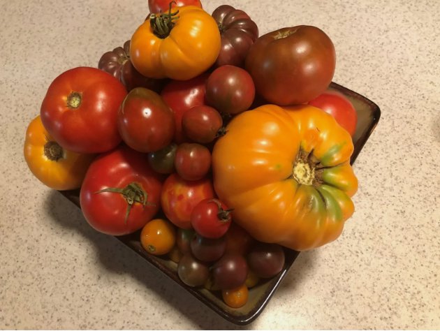 27 Varieties Organic Assorted Tomato Mix Vegetable Heirloom 10 Seeds for Garden Planting