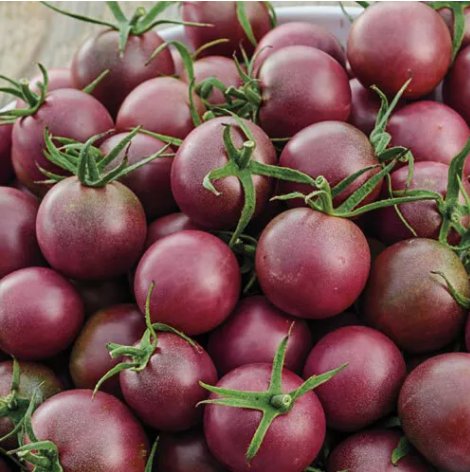 Black Cherry Tomato Vegetable Heirloom 30 Seeds for Garden Planting