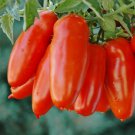 San Marzano Tomato Vegetable Heirloom 25 Seeds for Garden Planting