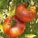 Brandywine Red Tomato Vegetable Heirloom 30 Seeds for Garden Planting