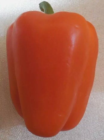 Orange King Bell Pepper Vegetable Heirloom 120 Seeds for Garden Planting