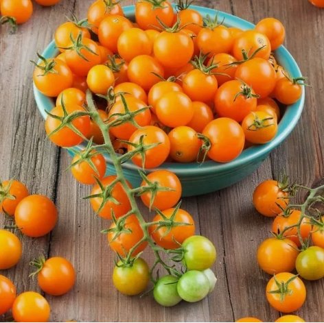 Sungold Cherry Tomato Vegetable Heirloom 30 Seeds for Garden Planting
