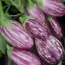 Eggplant Pandora Striped Rose Vegetable Heirloom 50 Seeds for Garden Planting