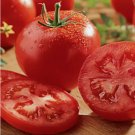 Celebrity Plus Tomato Vegetable Heirloom 10 Seeds for Garden Planting