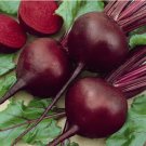 Detroit Dark Red Beet Vegetable Heirloom 200 Seeds for Garden Planting