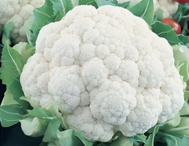 Cauliflower Self Blanching Non Gmo Vegetable Heirloom 400 Seeds for Garden Planting