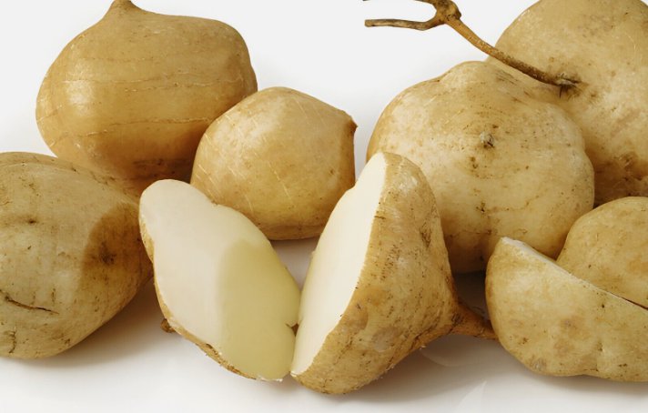 Jicama Mexican Yam Bean Non Gmo Vegetable Heirloom 40 Seeds for Garden Planting