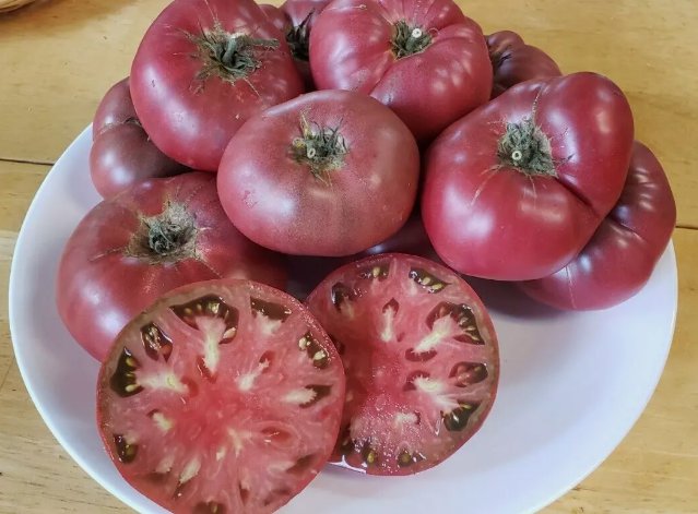 Rosella Purple Dwarf Tomato Vegetable Heirloom 25 Seeds for Garden Planting