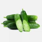 Cucumber Sweet Slice Burpless Hybrid  Non Gmo Vegetable Heirloom 20 Seeds for Garden Planting