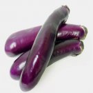 Chinese Eggplants Long Purple Vegetable Heirloom 50 Seeds for Garden Planting