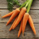 Little Fingers Carrot Baby Carrot Vegetable Heirloom 600 Seeds for Garden Planting