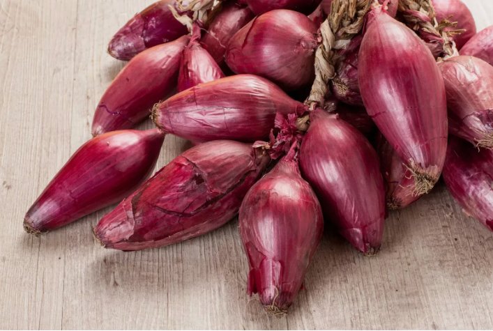 Italian Red Torpedo Onion Vegetable Heirloom 150 Seeds for Garden Planting