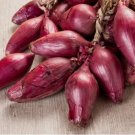 Italian Red Torpedo Onion Vegetable Heirloom 150 Seeds for Garden Planting Italian Red Torpedo Onion Vegetable Heirloom 150 Seeds for Garden Planting