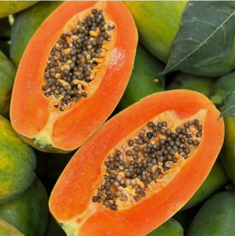Red Heart Creamy Papaya Vegetable Heirloom 50 Seeds for Garden Planting