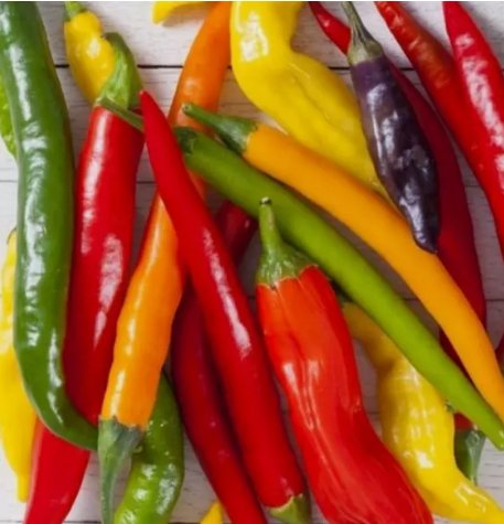 Rainbow Cayenne Pepper Mix Vegetable Heirloom 30 Seeds for Garden Planting