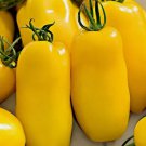 Banana Legs Paste Tomato Non Gmo Vegetable Heirloom 30 Seeds for Garden Planting