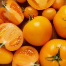 Amish Gold Tomato Non Gmo Vegetable Heirloom 20 Seeds for Garden Planting